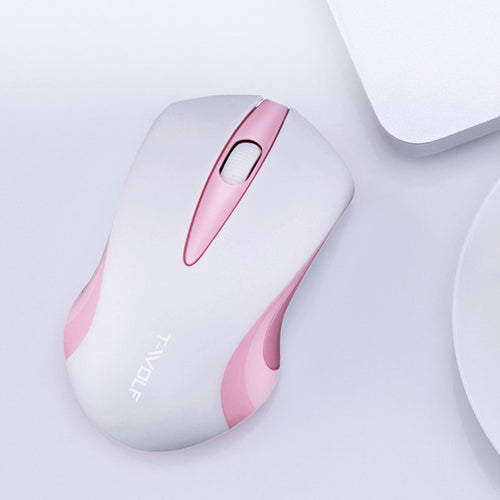 Optical Wireless Mouse Portable Ergonomic Mice USB Receiver 2.4GHz 10M Range